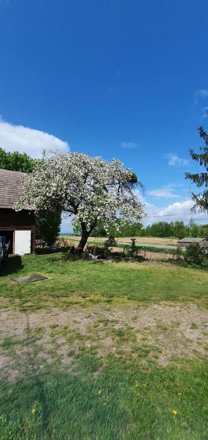 Mazurska Przystan Villa Dabrowno  Bagian luar foto