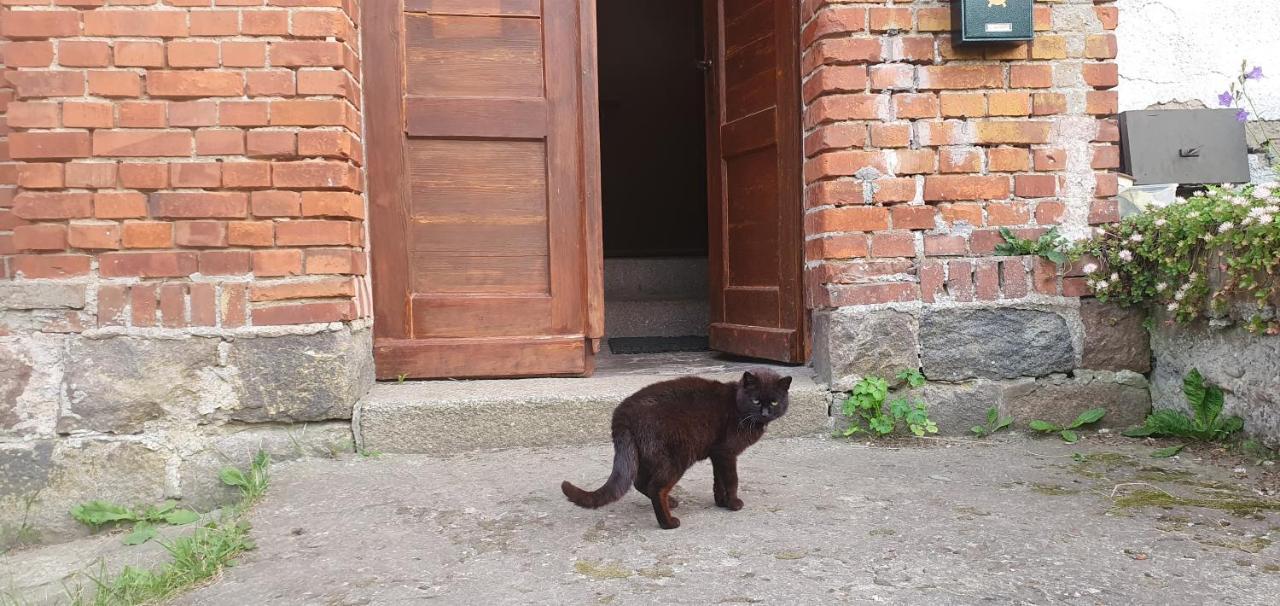 Mazurska Przystan Villa Dabrowno  Bagian luar foto