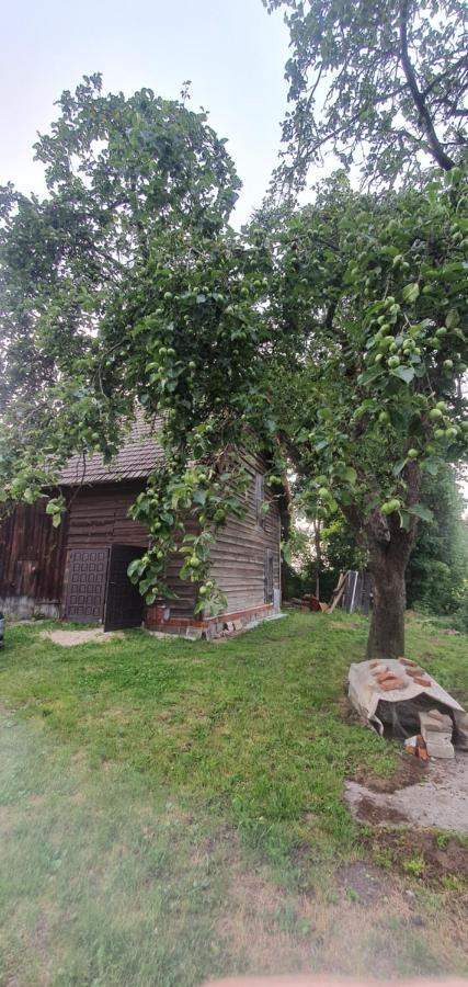 Mazurska Przystan Villa Dabrowno  Bagian luar foto